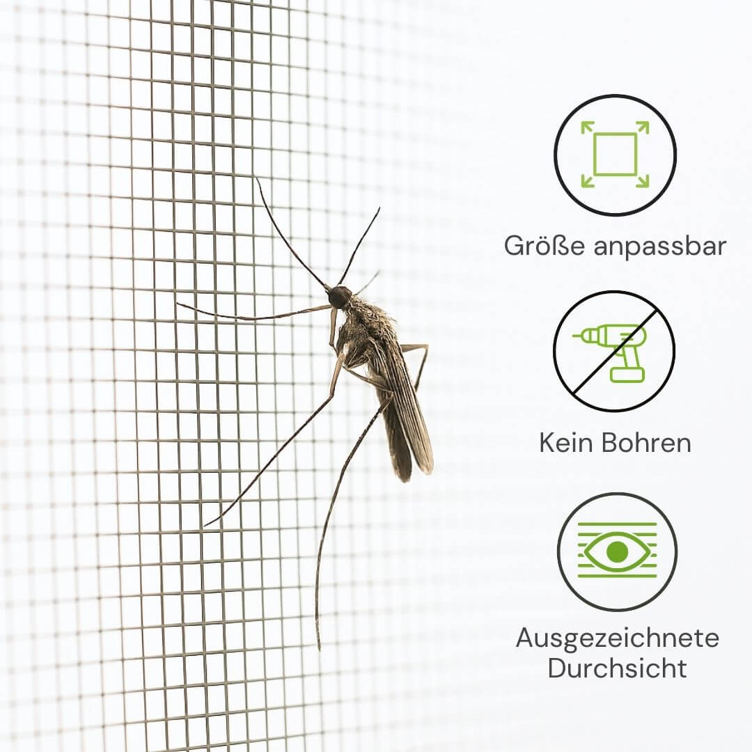 Fliegengitter für Dachfenster