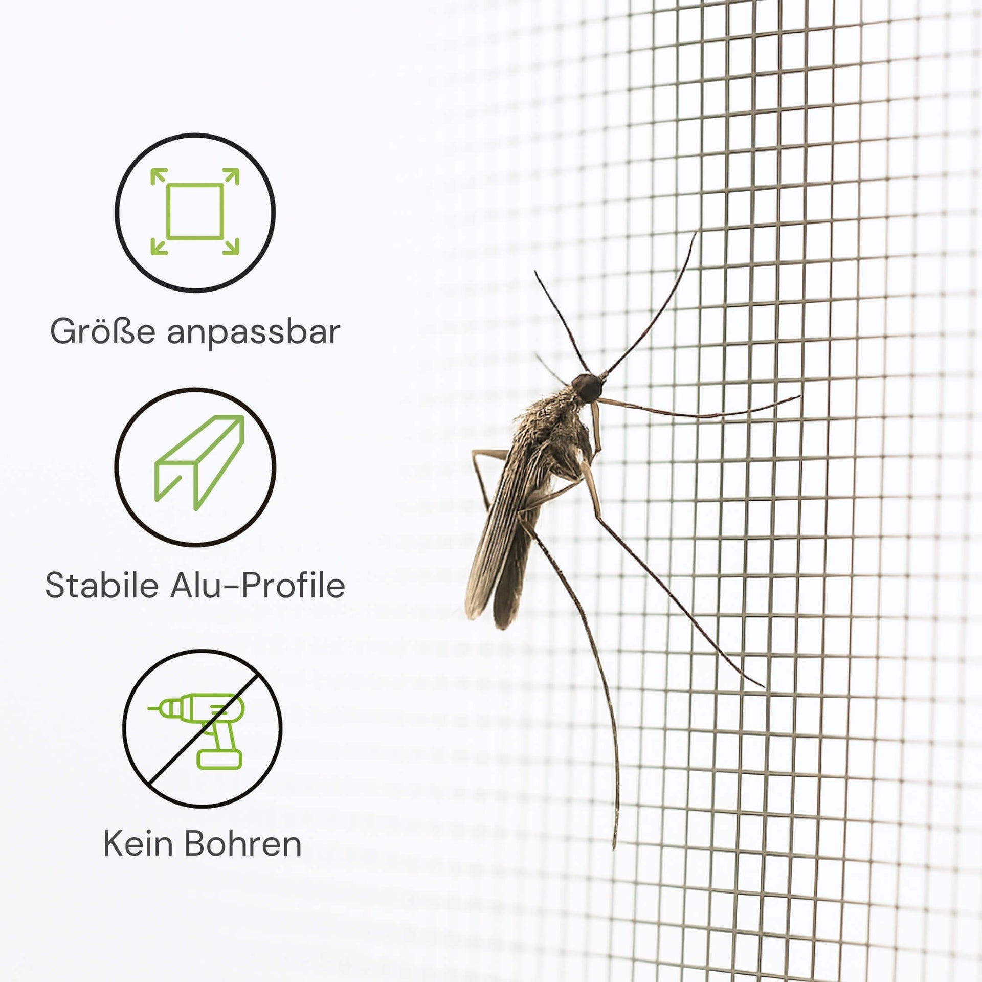 Fliegengitter Rollo für Türen