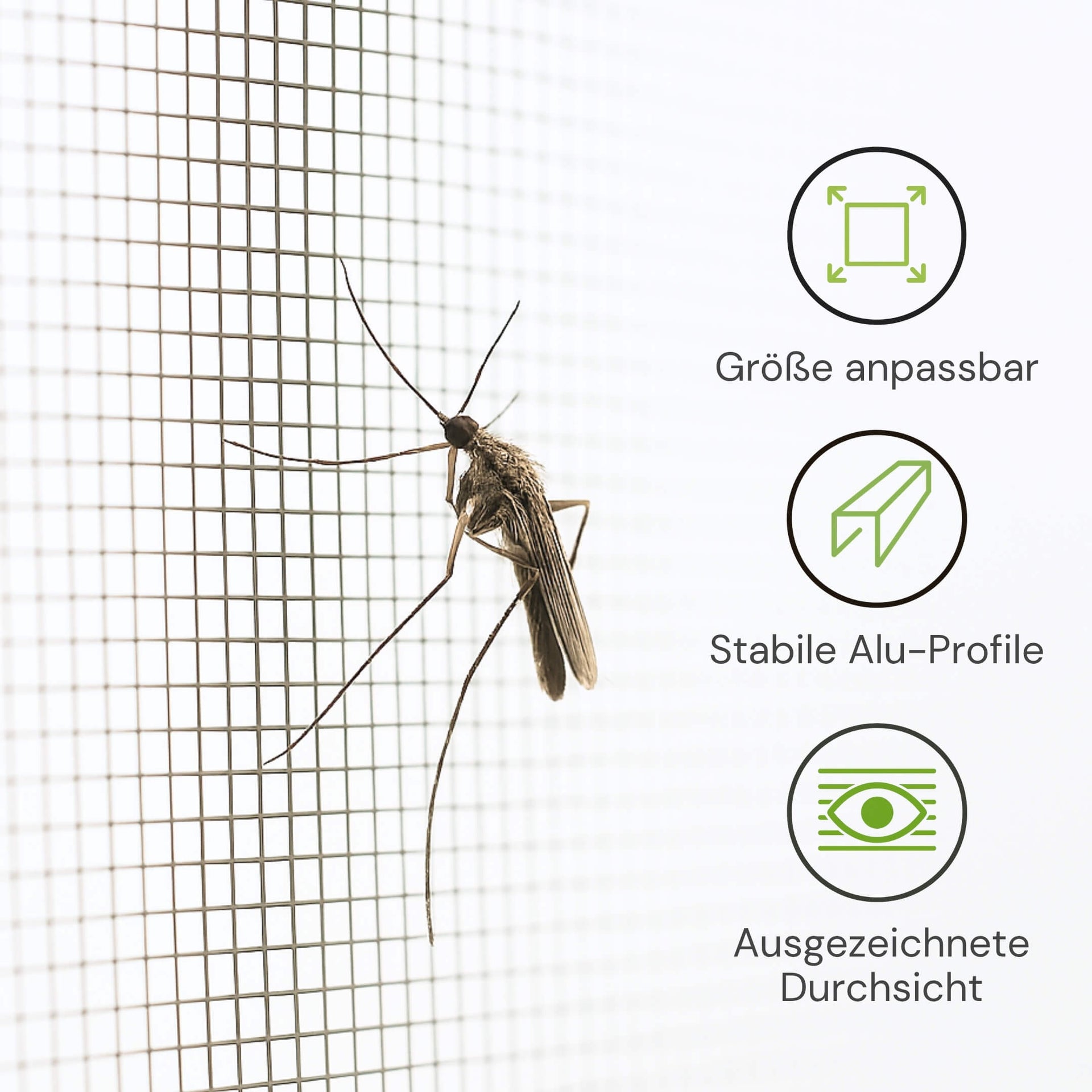 EXTRA Fliegengitter Rollo für Dachfenster