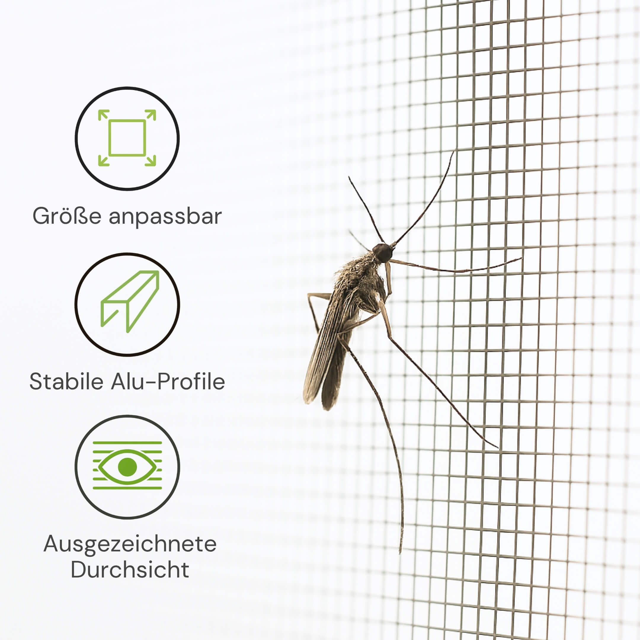 Größenanpassbare Fliegengitter Schiebetür mit Aluminiumprofilen und hoher Durchsicht
