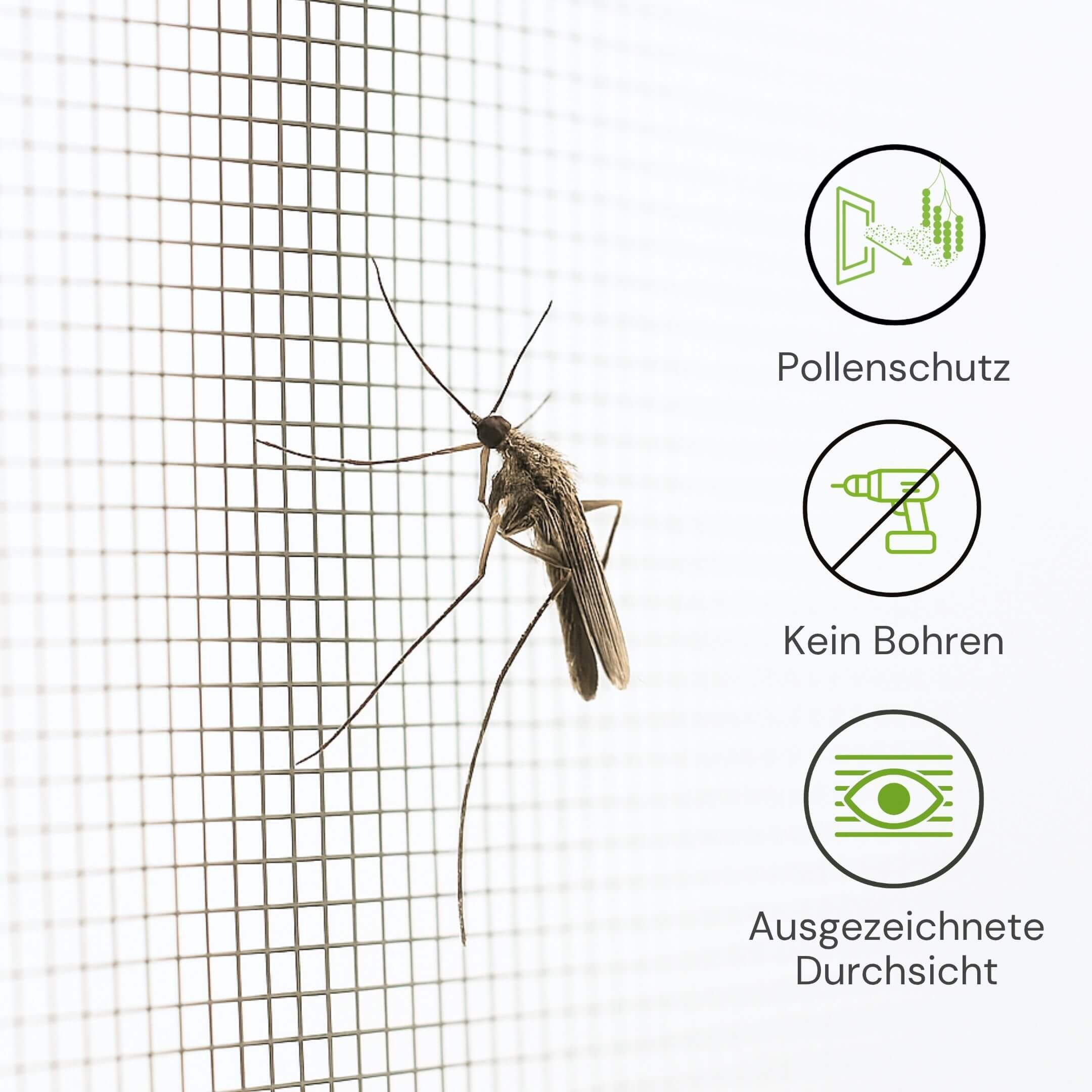 Fliegengitter mit Pollenschutz, hoher Durchsicht und ohne Bohren