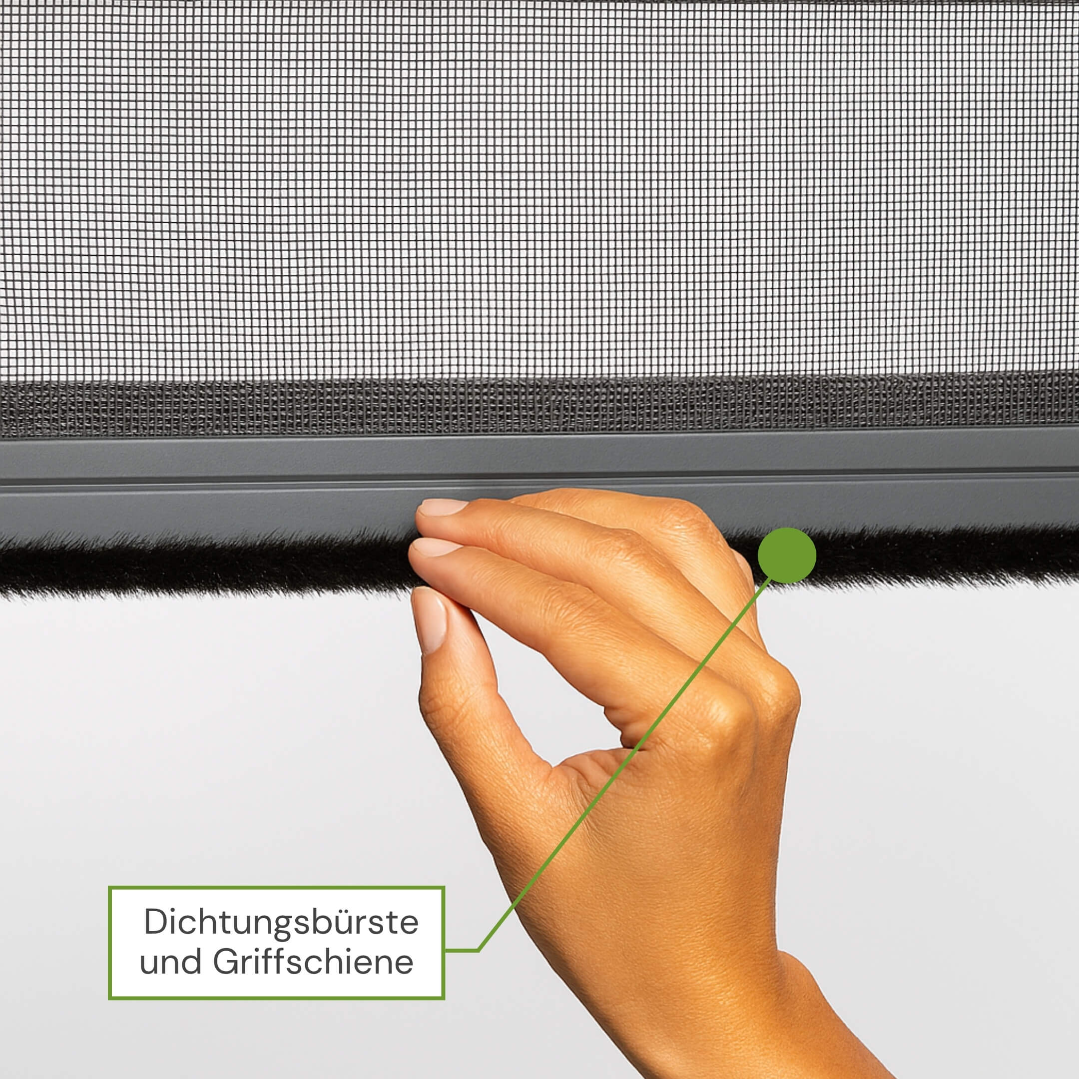 Dichtungsbürste und Griffschiene am Fliegengitter Rollo