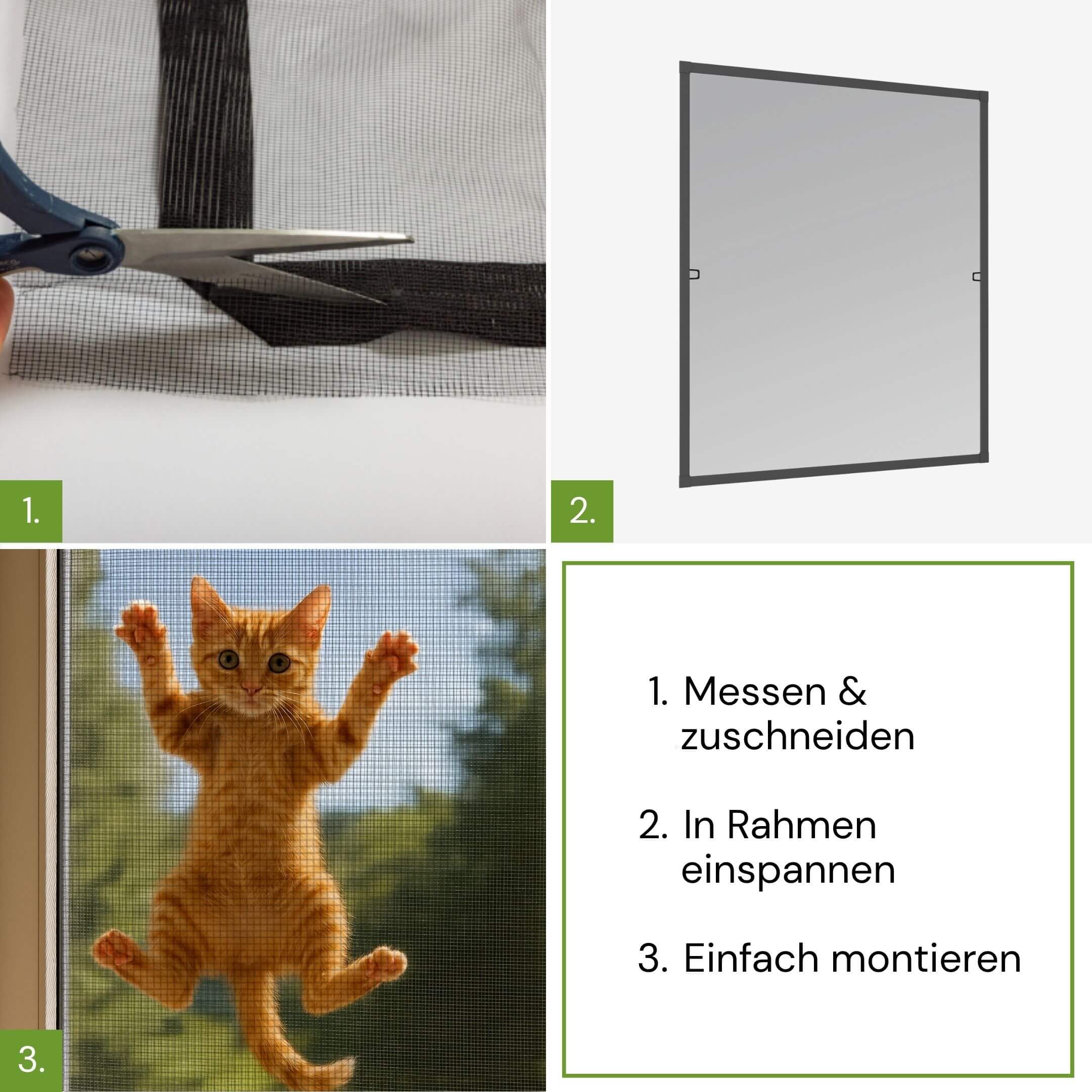 Montage des Krallenschutz-Gewebes in drei Schritten