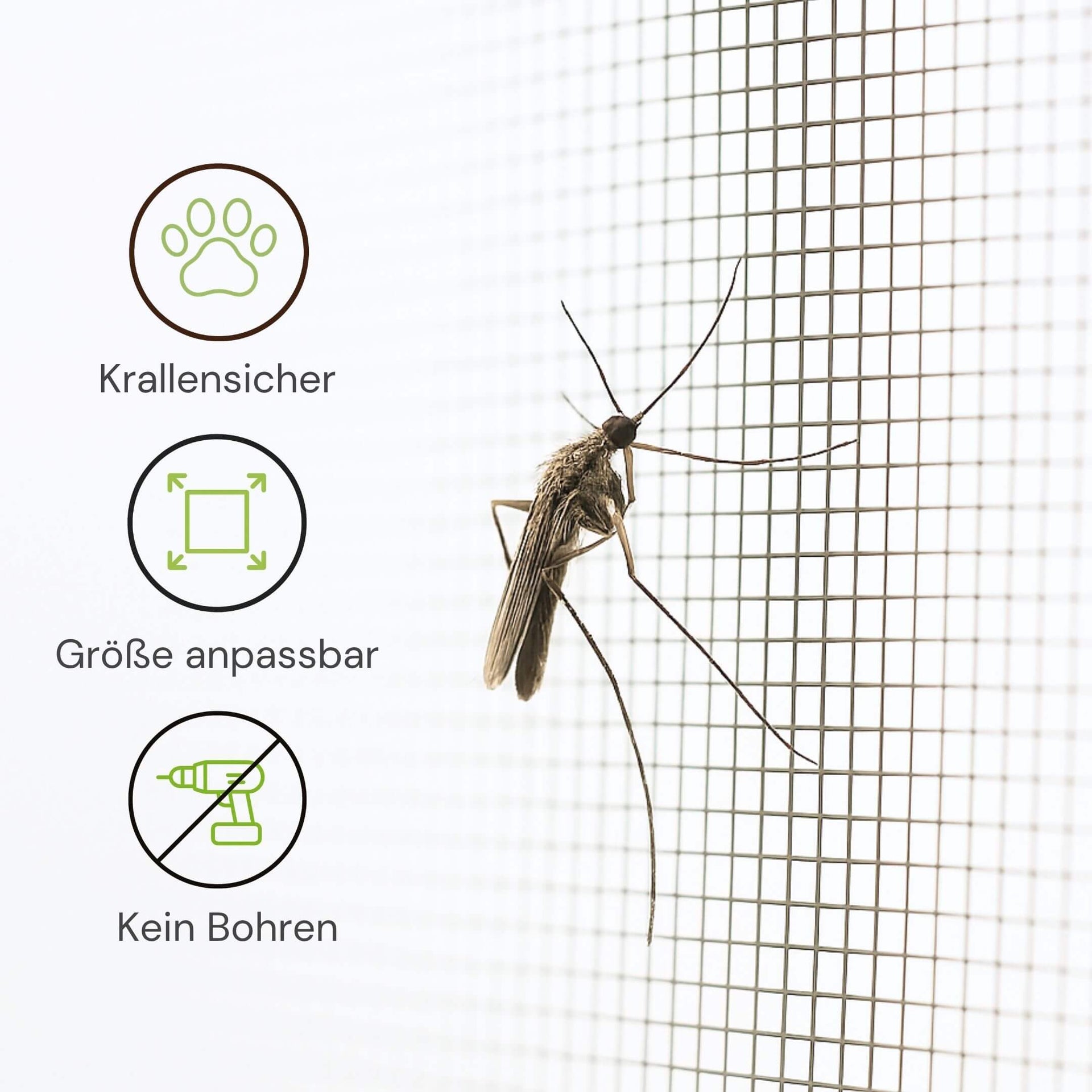 Krallensicheres Fliegengittergewebe in anpassbarer Größe ohne Bohren