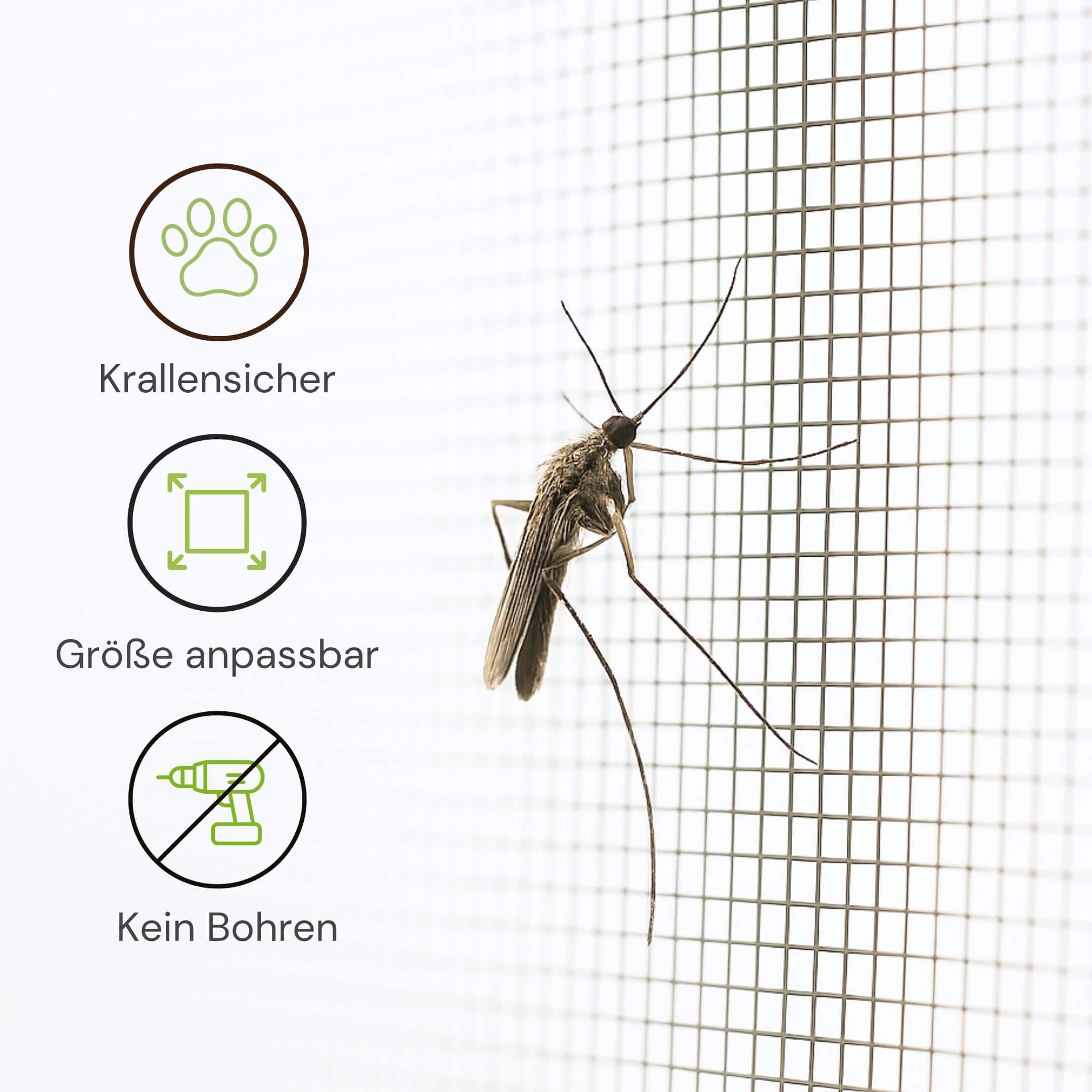 Krallensicheres Fliegengittergewebe in anpassbarer Größe ohne Bohren