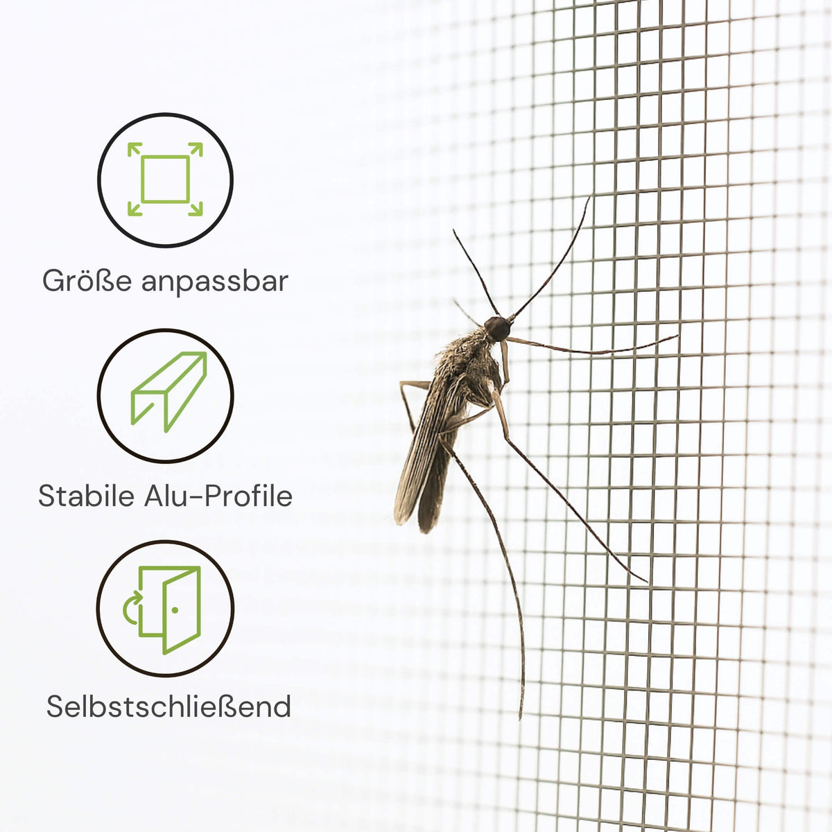 Größenanpassbare Fliegengittertür mit Aluminiumprofilen und Selbstschließung